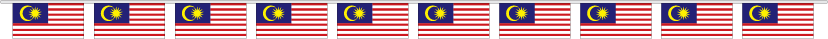 Malaysia Bunting